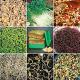 E-Coli Infection Moves To France